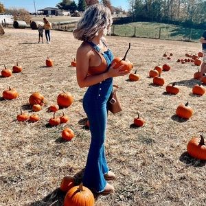 Altar’d State Overalls